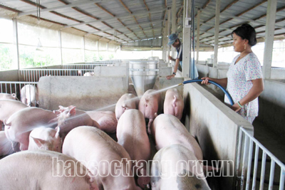 Khó giảm giá như thức ăn chăn nuôi