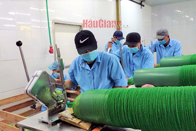 Giúp nông sản xuất ngoại