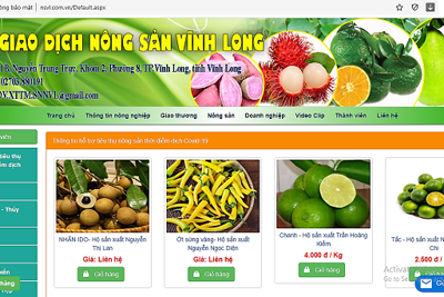 Đón xu thế, thúc đẩy thương mại điện tử phát triển mạnh mẽ 
