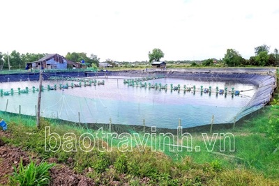 Người nuôi thủy sản khó khăn tìm đầu ra