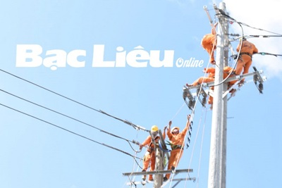 Thực hiện nhiều dự án đầu tư lưới điện phục vụ sản xuất và sinh hoạt