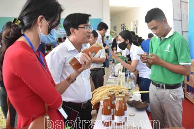 Nhiều hoạt động hỗ trợ doanh nghiệp nhỏ và vừa