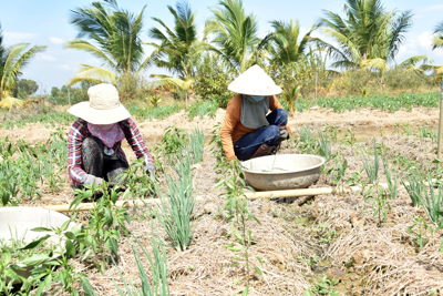 Chuyển đổi cơ cấu sản xuất phù hợp với biến đổi khí hậu