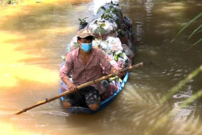 Nỗi lo nông sản tồn đọng
