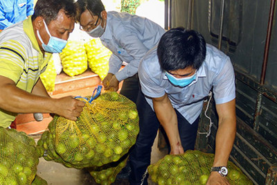 Dồn sức hỗ trợ nông dân tiêu thụ nông sản