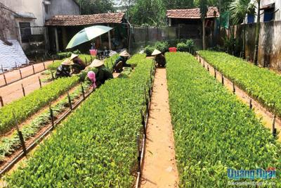Loay hoay với phương thức sản xuất mới