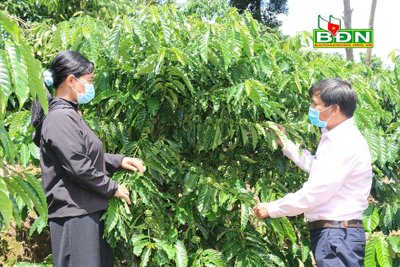 “Tiếp sức” cho hộ kinh doanh vùng khó khăn