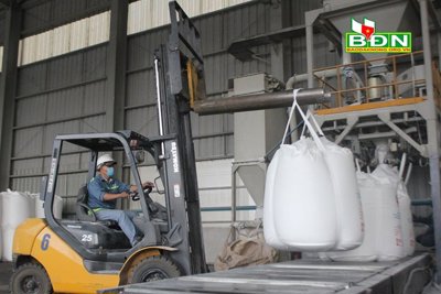 Hoạt động xuất khẩu khởi sắc