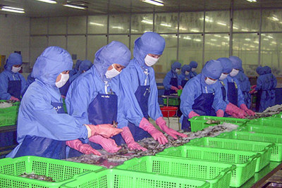 Tổng kim ngạch xuất nhập khẩu giảm mạnh