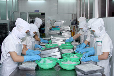 Dừng đóng quỹ hưu trí và tử tuất cho 3.274 lao động  