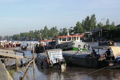 Xuất khẩu gạo năm 2021 đạt khoảng 6 triệu tấn