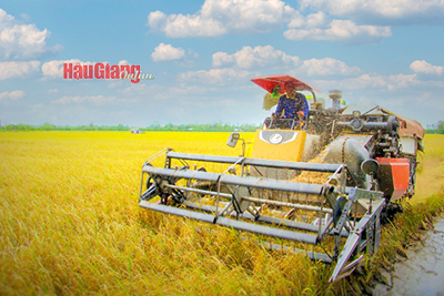 Chuyển đổi bền vững nông nghiệp Đồng bằng sông Cửu Long