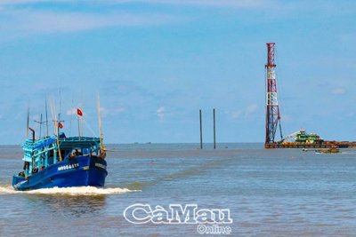 Cà Mau minh bạch trong thu hút đầu tư