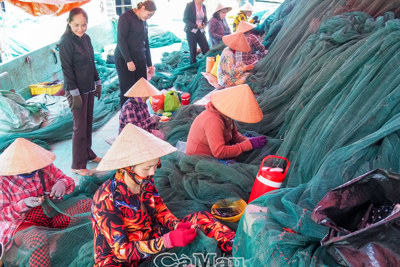 Sinh kế cho phụ nữ ven biển