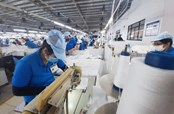 Tăng cường phát triển đối tượng tham gia bảo hiểm xã hội 