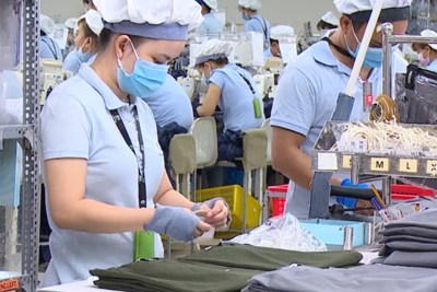 Triển khai hỗ trợ cho người lao động gói 30.000 tỷ đồng từ Quỹ bảo hiểm thất nghiệp