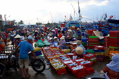 Phát triển thương mại miền núi, vùng sâu, vùng xa và hải đảo 