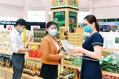 "Đòn bẩy" đưa kinh tế nông thôn Gia Lai khởi sắc