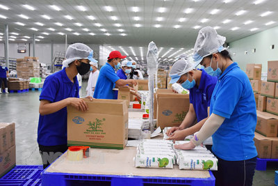 Phục hồi, phát triển kinh tế những tháng cuối năm 2021 và năm 2022