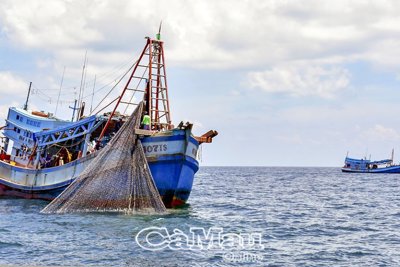 Ngư dân cần trợ lực để bám biển