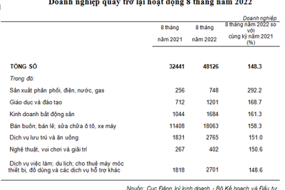 Doanh nghiệp tái gia nhập thị trường 8 tháng năm 2022 tăng cao kỉ lục