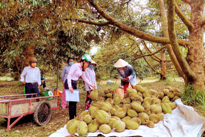 20 năm triển khai chính sách tín dụng ưu đãi đối với người nghèo và các đối tượng chính sách khác
