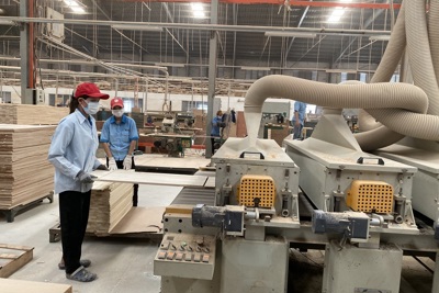 Phát triển các cụm công nghiệp theo hướng bền vững