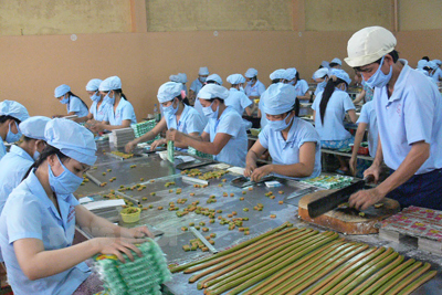 Phấn đấu thực hiện giá trị sản xuất công nghiệp đạt 10,6 ngàn tỷ đồng