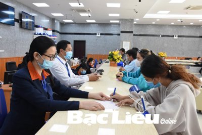 Thực hiện đồng bộ các giải pháp hỗ trợ doanh nghiệp và hộ sản xuất - kinh doanh