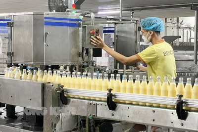 Hỗ trợ doanh nghiệp để phục hồi, phát triển kinh tế