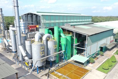 Liên kết để phát triển và bảo vệ môi trường bền vững