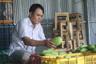 Phát triển nông nghiệp và nông thôn bền vững, thích ứng biến đổi khí hậu
