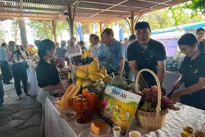 Thúc đẩy kinh tế hợp tác phát triển