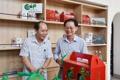 Bến Tre chuẩn bị xuất khẩu lô bưởi da xanh đầu tiên của Việt Nam sang Hoa Kỳ