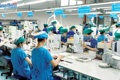 Giải pháp phục hồi, phát triển kinh tế