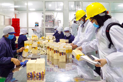 Doanh nghiệp phục hồi và đẩy mạnh sản xuất kinh doanh