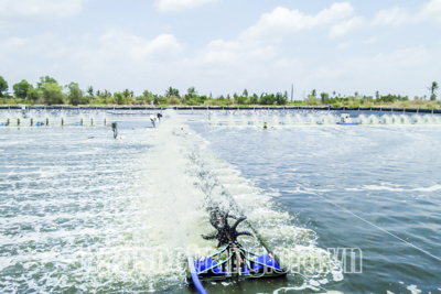 Kết nối giao thương nông, lâm, thủy sản giữa Hà Nội và các tỉnh, thành phố