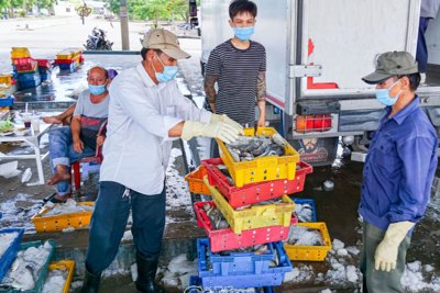 Quản lý chặt chẽ tiến độ thu ngân sách