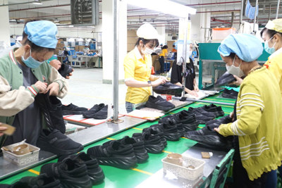 Tiếp tục giữ vững đà tăng trưởng