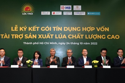 7 ngân hàng hợp vốn cho Lộc Trời vay 100 triệu USD sản xuất lúa chất lượng cao 