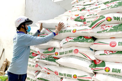 Để nông dân an tâm tái sản xuất 