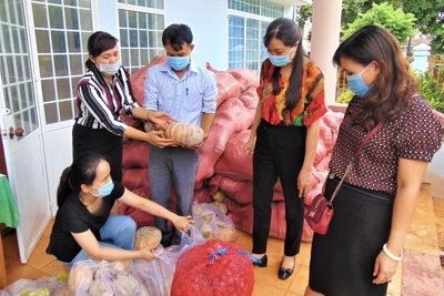 Xin đừng “giải cứu” nông sản!