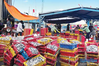 Đầu tư trọng điểm, hỗ trợ trọng tâm