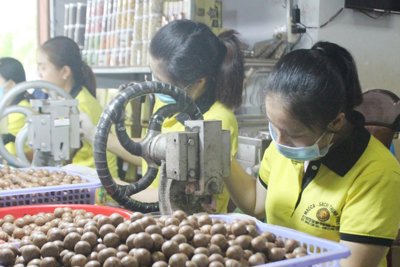 Chắp cánh cho sản phẩm công nghiệp nông thôn vươn xa