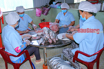 Nâng cao năng lực và hiệu quả hoạt động cho các chủ thể OCOP