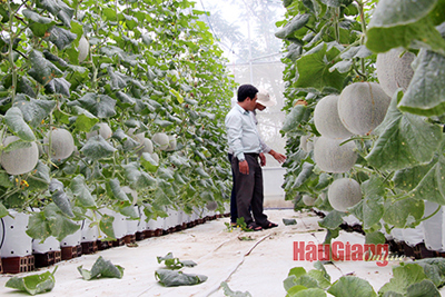 Mở rộng đầu ra cho nông sản