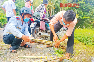 Nông dân trồng mía lo lắng khi nhà máy đường chưa vào vụ ép