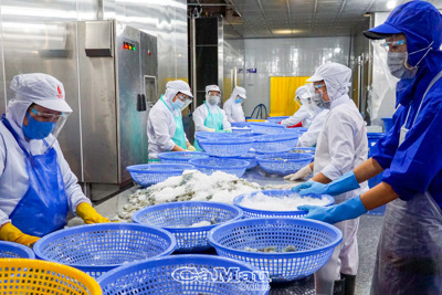 Nâng cao cơ hội thúc đẩy xuất khẩu thuỷ sản