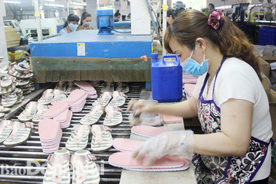Đầu tư công nghệ để phát triển bền vững