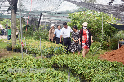 Tác động của chính sách trong khuyến khích, hỗ trợ hoạt động